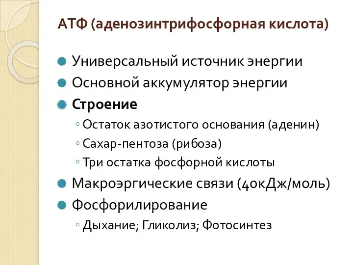 АТФ (аденозинтрифосфорная кислота) Универсальный источник энергии Основной аккумулятор энергии Строение