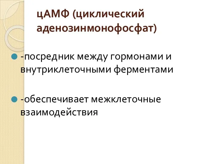 цАМФ (циклический аденозинмонофосфат) -посредник между гормонами и внутриклеточными ферментами -обеспечивает межклеточные взаимодействия