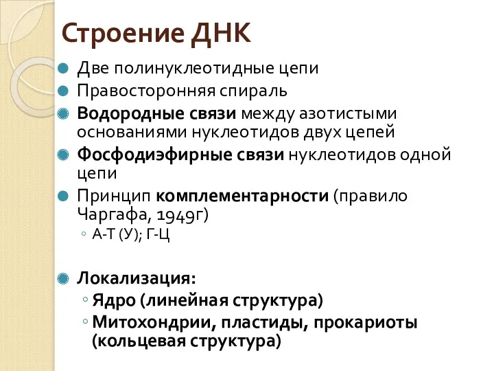 Строение ДНК Две полинуклеотидные цепи Правосторонняя спираль Водородные связи между