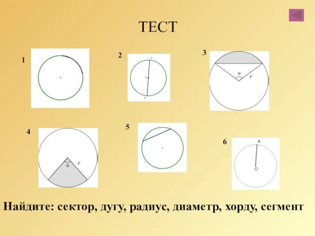 ТЕСТ Найдите: сектор, дугу, радиус, диаметр, хорду, сегмент 1 2 3 4 5 6