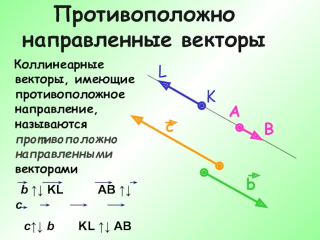 Противоположно направленные векторы Коллинеарные векторы, имеющие противоположное направление, называются противоположно направленными векторами b