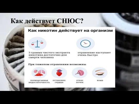 Как действует СНЮС?