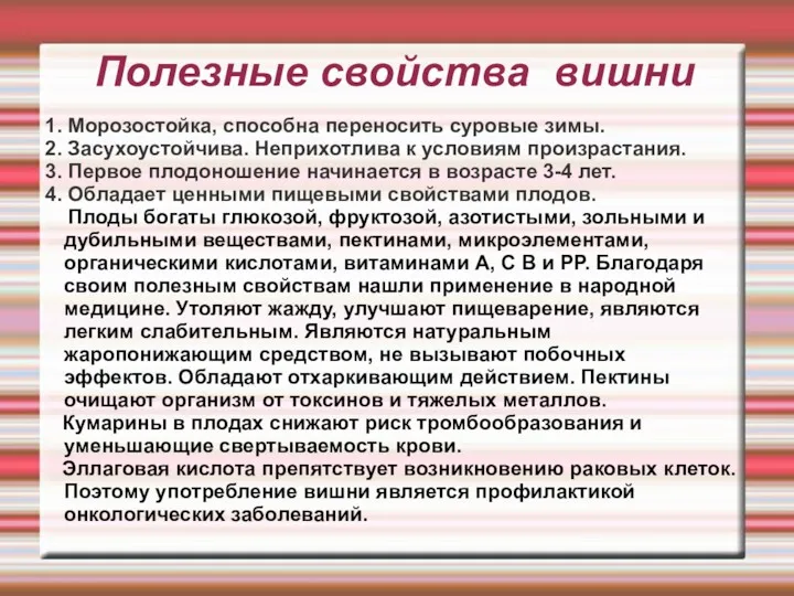 Полезные свойства вишни 1. Морозостойка, способна переносить суровые зимы. 2.