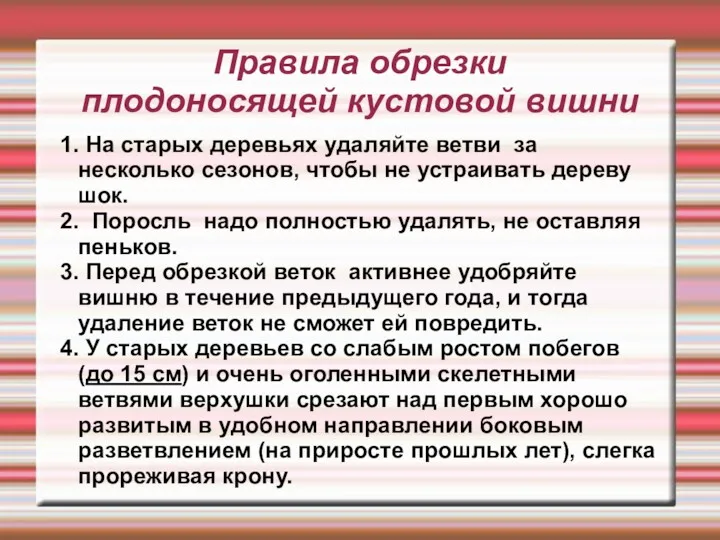 Правила обрезки плодоносящей кустовой вишни 1. На старых деревьях удаляйте