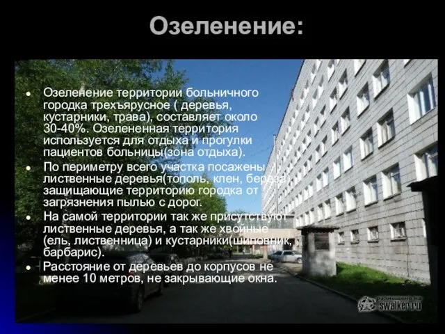 Озеленение: Озеленение территории больничного городка трехъярусное ( деревья, кустарники, трава), составляет около 30-40%.