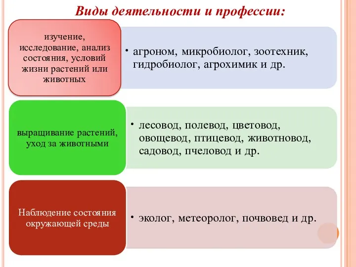 Виды деятельности и профессии: