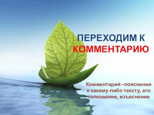 ПЕРЕХОДИМ К КОММЕНТАРИЮ Комментарий –пояснения к какому-либо тексту, его толкование, изъяснение