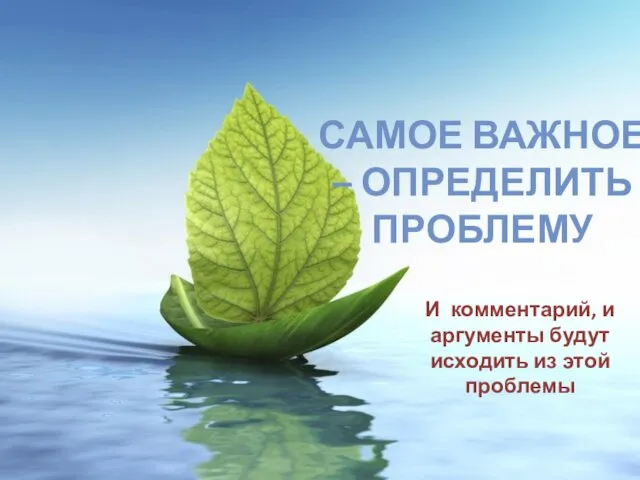 САМОЕ ВАЖНОЕ – ОПРЕДЕЛИТЬ ПРОБЛЕМУ И комментарий, и аргументы будут исходить из этой проблемы