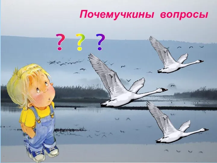 Почемучкины вопросы ? ? ?