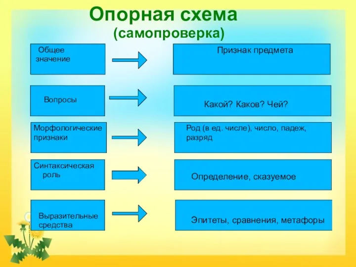 Опорная схема (самопроверка) Признак предмета Общее значение Вопросы Морфологические признаки