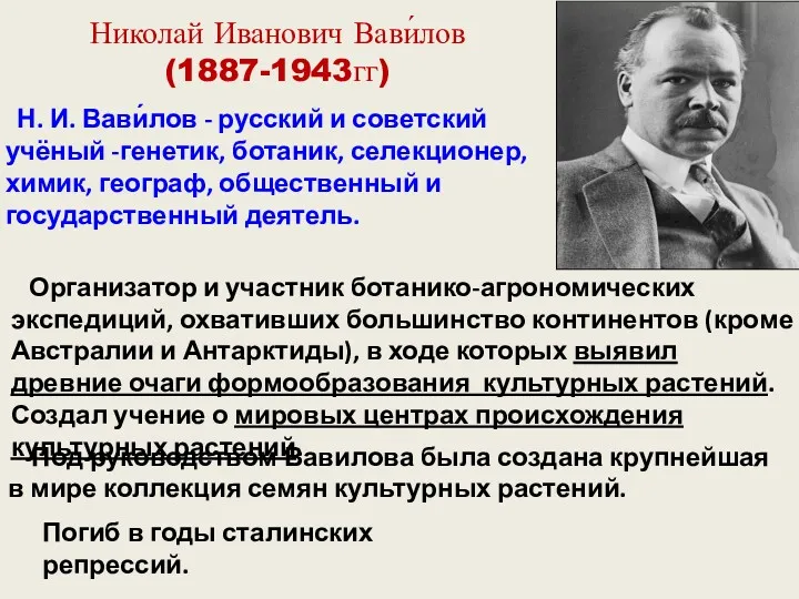 Николай Иванович Вави́лов (1887-1943гг) Н. И. Вави́лов - русский и советский учёный -генетик,