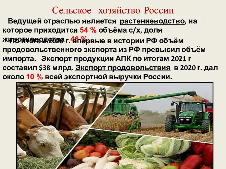 Сельское хозяйство России Ведущей отраслью является растениеводство, на которое приходится 54 % объёма