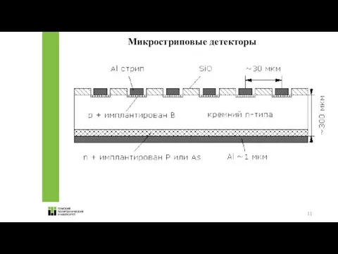 Микростриповые детекторы