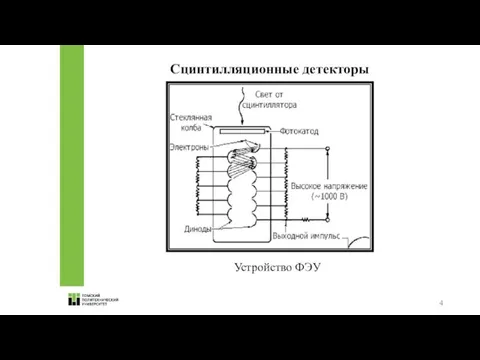 Сцинтилляционные детекторы Устройство ФЭУ