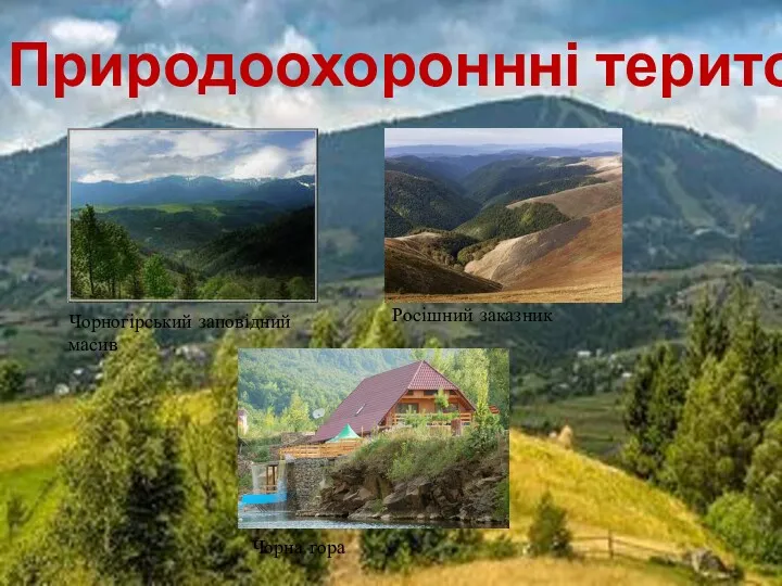 Природоохороннні території Росішний заказник Чорна гора Чорногірський заповідний масив