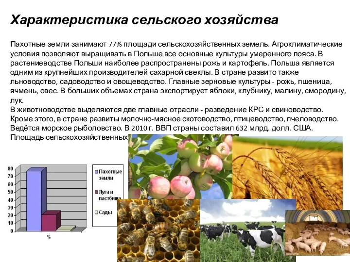 Характеристика сельского хозяйства Пахотные земли занимают 77% площади сельскохозяйственных земель.