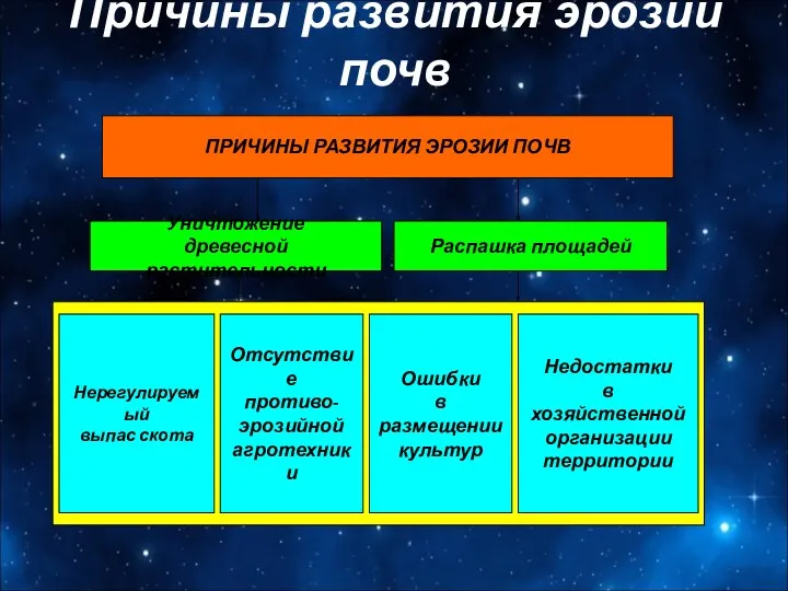 Причины развития эрозии почв ПРИЧИНЫ РАЗВИТИЯ ЭРОЗИИ ПОЧВ Уничтожение древесной