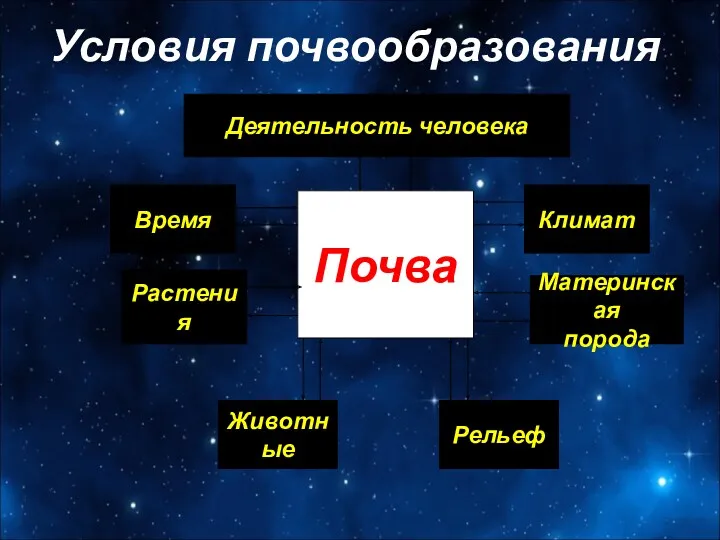 Условия почвообразования Почва Деятельность человека Климат Материнская порода Рельеф Время Растения Животные