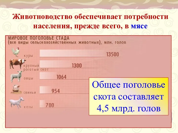 Животноводство обеспечивает потребности населения, прежде всего, в мясе Общее поголовье скота составляет 4,5 млрд. голов