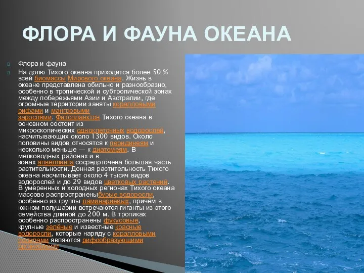 Флора и фауна На долю Тихого океана приходится более 50