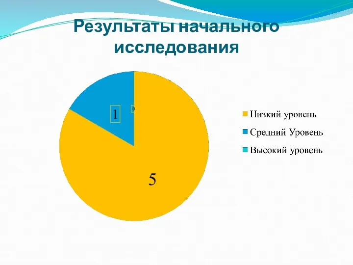 Результаты начального исследования