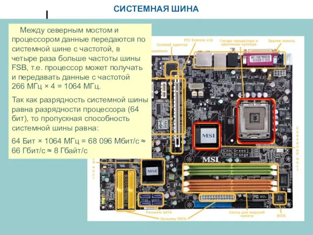 СИСТЕМНАЯ ШИНА Между северным мостом и процессором данные передаются по