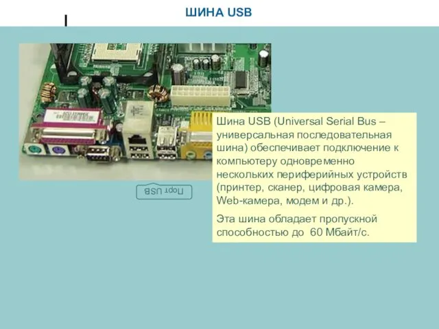 ШИНА USB Шина USB (Universal Serial Bus – универсальная последовательная шина) обеспечивает подключение