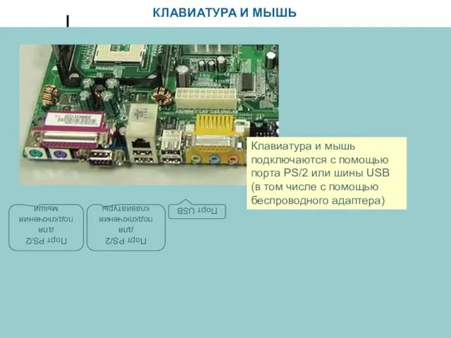 КЛАВИАТУРА И МЫШЬ Клавиатура и мышь подключаются с помощью порта PS/2 или шины