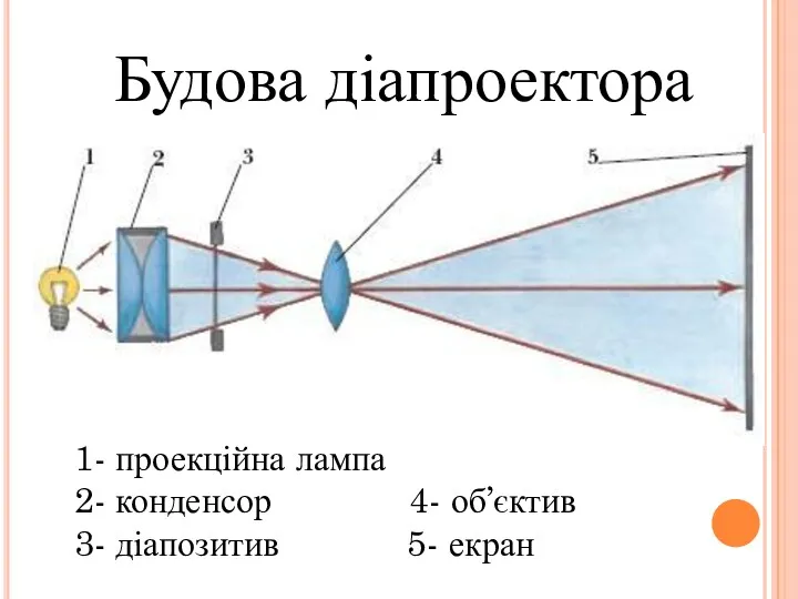 Будова діапроектора 1- проекційна лампа 2- конденсор 4- об’єктив 3- діапозитив 5- екран