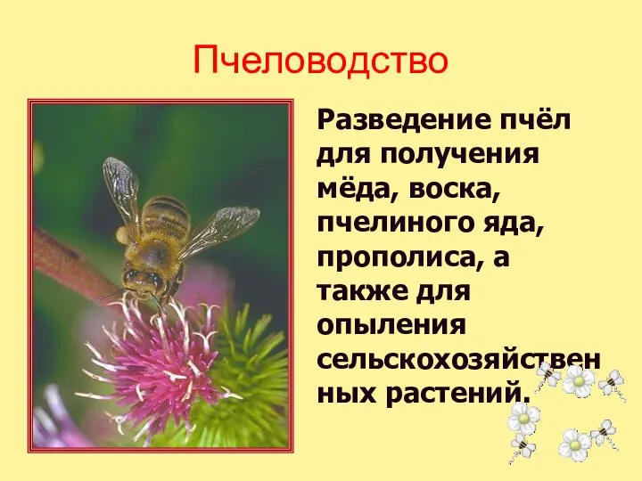 Разведение пчёл для получения мёда, воска, пчелиного яда, прополиса, а также для опыления сельскохозяйственных растений. Пчеловодство