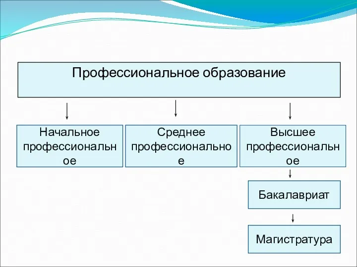 Профессиональное образование Начальное профессиональное Среднее профессиональное Магистратура Бакалавриат Высшее профессиональное