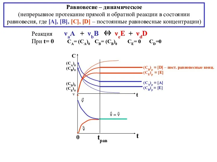Равновесие – динамическое (непрерывное протекание прямой и обратной реакции в
