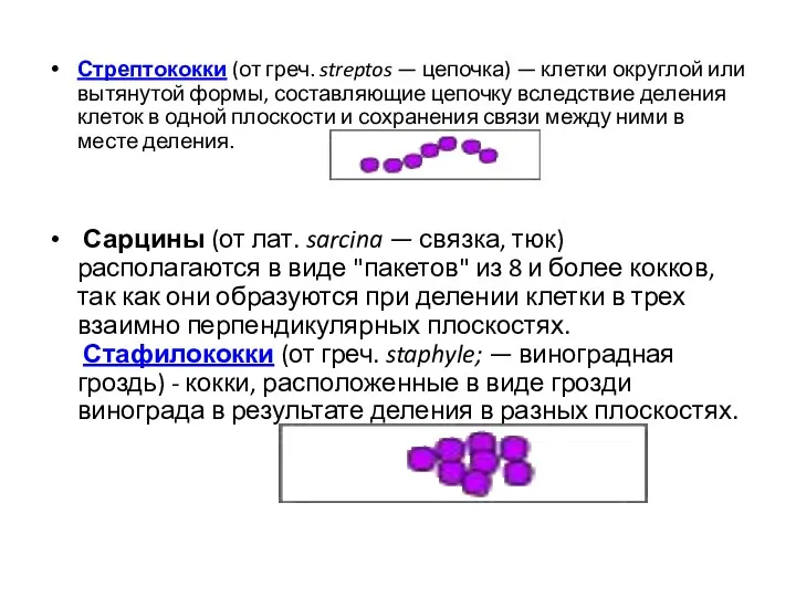 Стрептококки (от греч. streptos — цепочка) — клетки округлой или