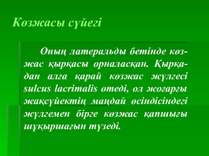 Көзжасы сүйегі Оның латеральды бетінде көз-жас қырқасы орналасқан. Қырқа-дан алға