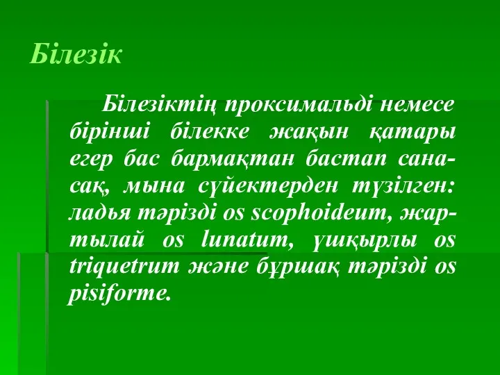 Білезік Білезіктің проксимальді немесе бірінші білекке жақын қатары егер бас