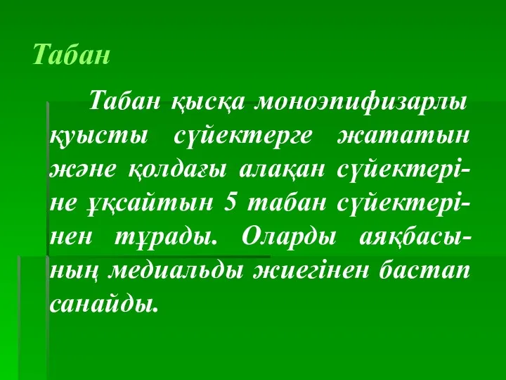 Табан Табан қысқа моноэпифизарлы қуысты сүйектерге жататын және қолдағы алақан