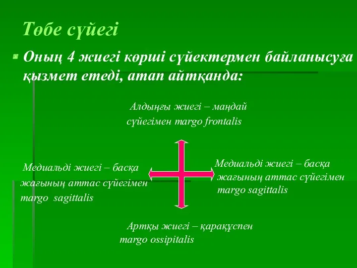 Төбе сүйегі Оның 4 жиегі көрші сүйектермен байланысуға қызмет етеді,