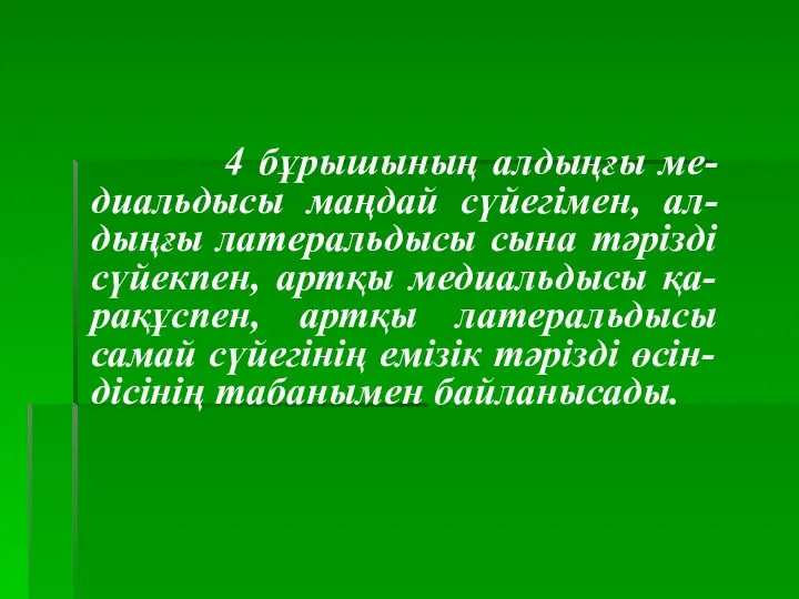 4 бұрышының алдыңғы ме-диальдысы маңдай сүйегімен, ал-дыңғы латеральдысы сына тәрізді