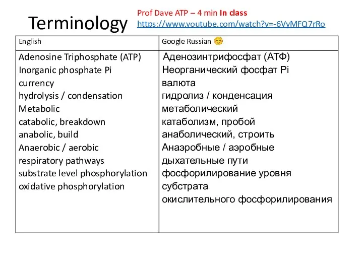 Terminology Prof Dave ATP – 4 min In class https://www.youtube.com/watch?v=-6VyMFQ7rRo