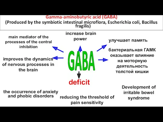 Gamma-aminobutyric acid (GABA) (Produced by the symbiotic intestinal microflora, Escherichia coli, Bacillus fragilis)