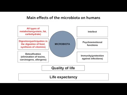 Main effects of the microbiota on humans MICROBIOTA Digestion(participation in the digestion of