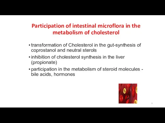 Participation of intestinal microflora in the metabolism of cholesterol transformation of Cholesterol in