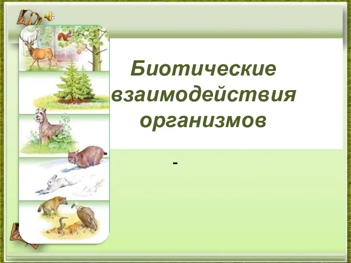 Биотические взаимодействия организмов http://aida.ucoz.ru -