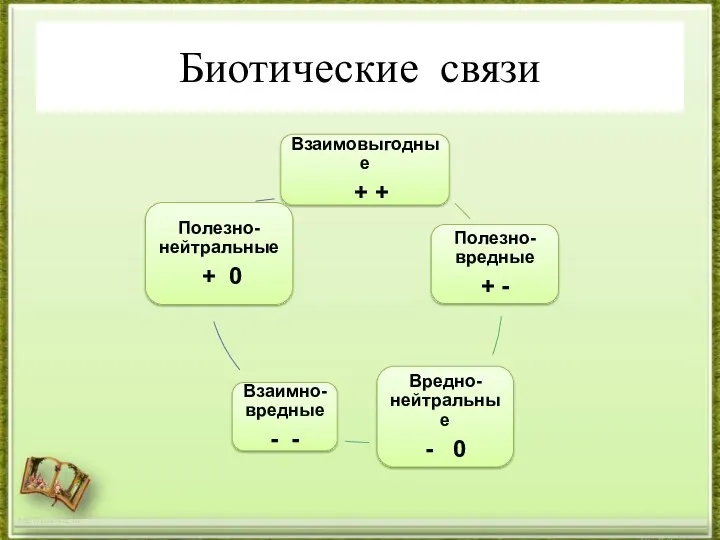 Биотические связи http://aida.ucoz.ru