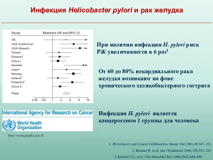 Инфекция Helicobacter pylori и рак желудка При наличии инфекции H.