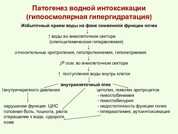 Патогенез водной интоксикации (гипоосмолярная гипергидратация) Избыточный прием воды на фоне