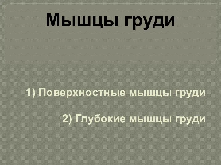 1) Поверхностные мышцы груди 2) Глубокие мышцы груди Мышцы груди