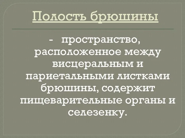 Полость брюшины - пространство, расположенное между висцеральным и париетальными листками брюшины, содержит пищеварительные органы и селезенку.