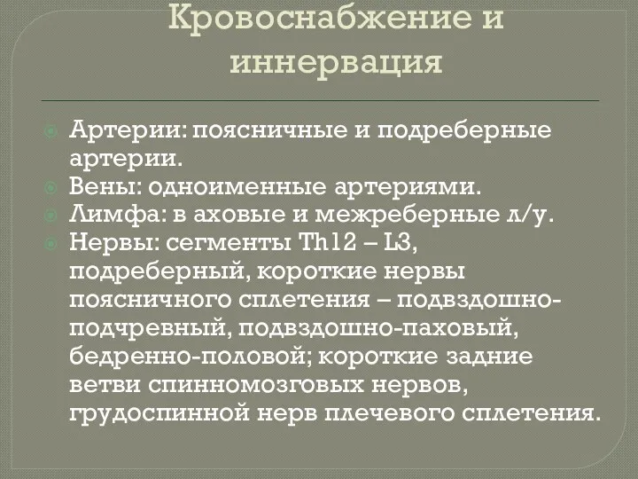 Кровоснабжение и иннервация Артерии: поясничные и подреберные артерии. Вены: одноименные