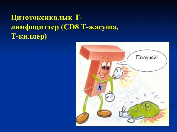 Цитотоксикалық Т-лимфоциттер (CD8 Т-жасуша, Т-киллер)